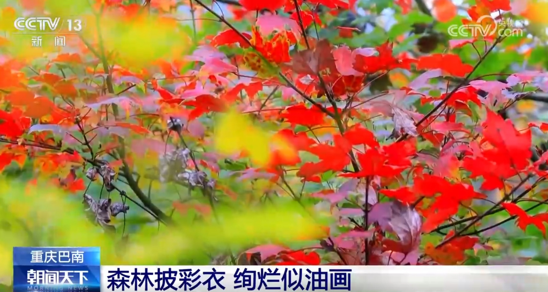 壮丽山河初冬风景五彩斑斓似画卷 文旅焕“新”涌动蓬勃力量