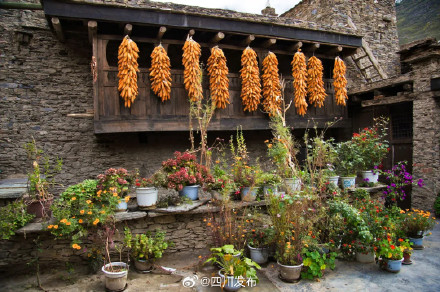 四川桃坪村成为世界级level 四川桃坪村成为世界级level