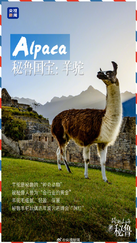 转存了解!秘鲁人把中国人叫做老乡 转存了解!秘鲁人把中国人叫做老乡