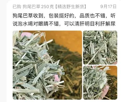 能治近视？最近这野草火了，重庆随处可见！网友：真的假的？