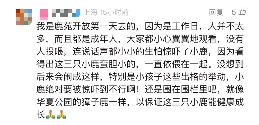 累了，秃了......高校：临时关闭！