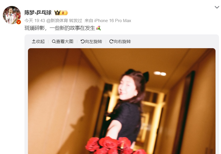 陈梦、郑钦文,传来喜讯! 陈梦、郑钦文,传来喜讯!