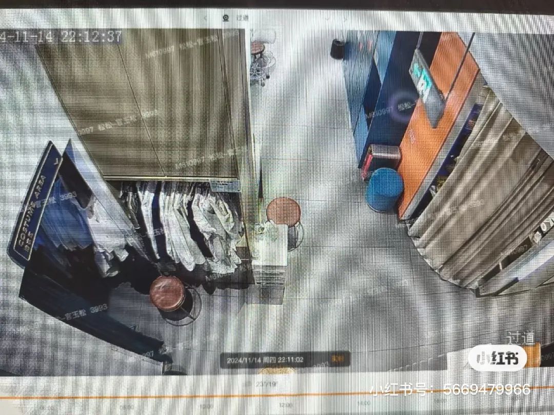 海马体最新回应！