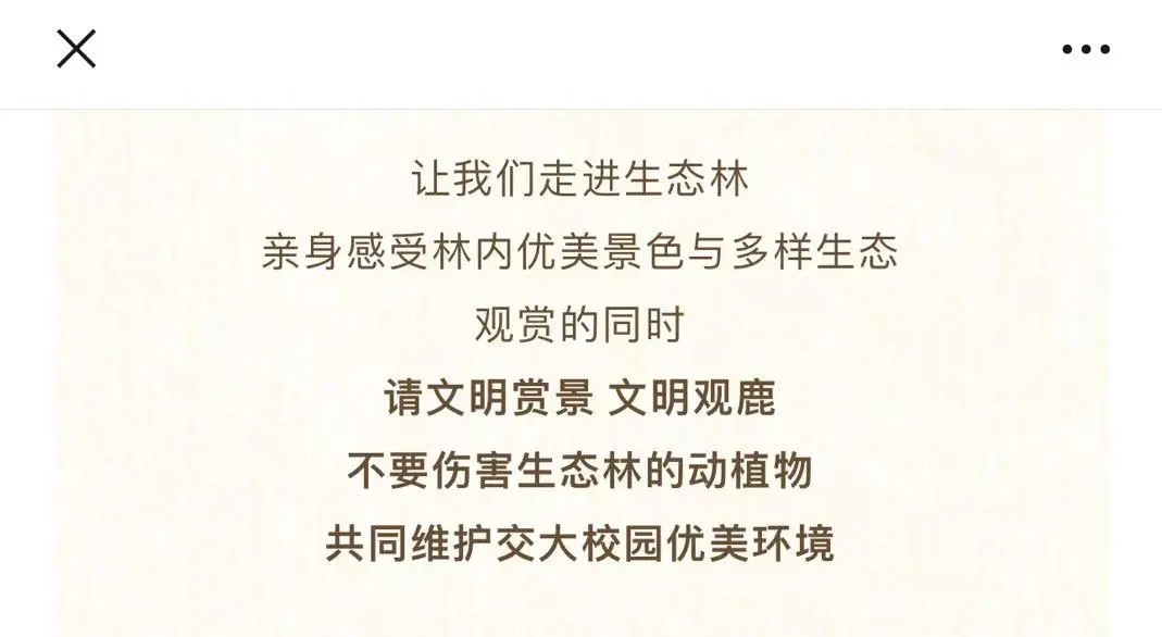 累了，秃了......高校：临时关闭！