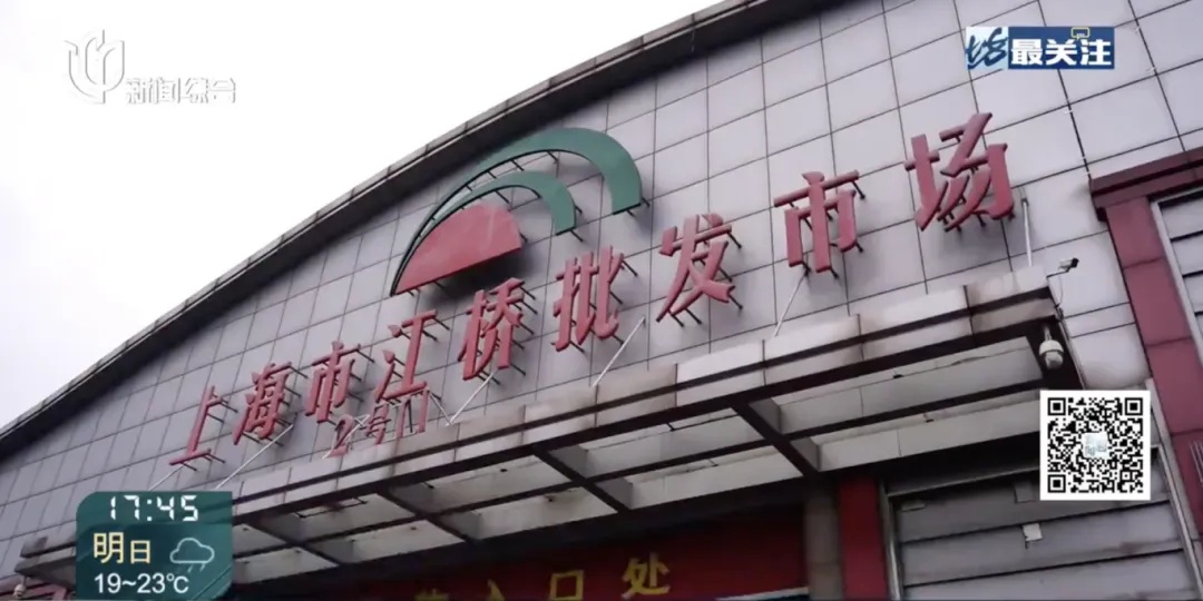 价格涨疯，“历年最贵”！上海市民无奈：只能少放……