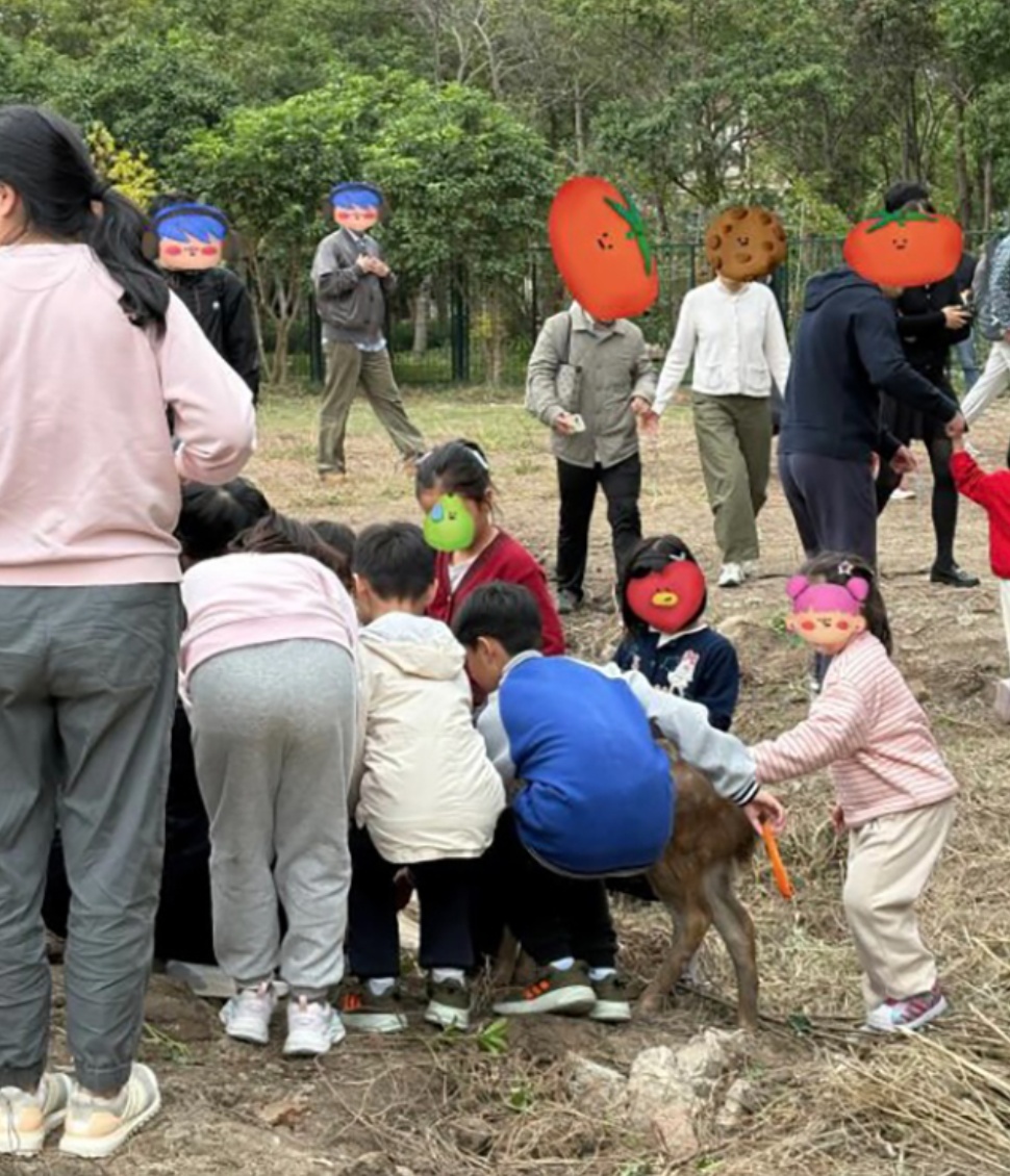 上海交大紧急叫停！鹿累了，草秃了……