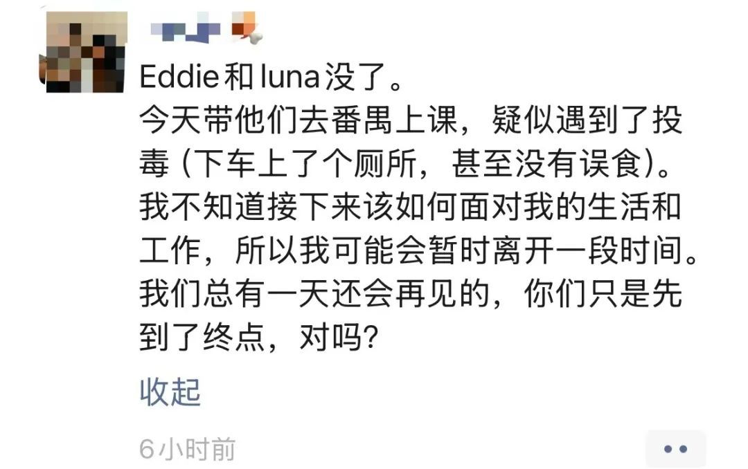 广州一广场草地疑有“毒物”，数位狗主的爱犬遭殃，街道办回应→