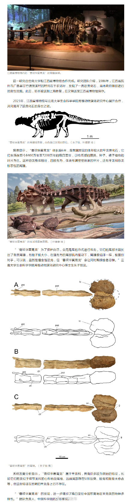 江西出土！我国恐龙家族添新成员