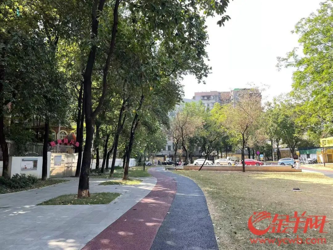 广州一广场草地疑有“毒物”，数位狗主的爱犬遭殃，街道办回应→