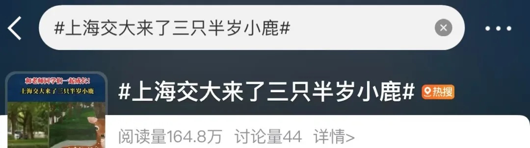 累了，秃了......高校：临时关闭！