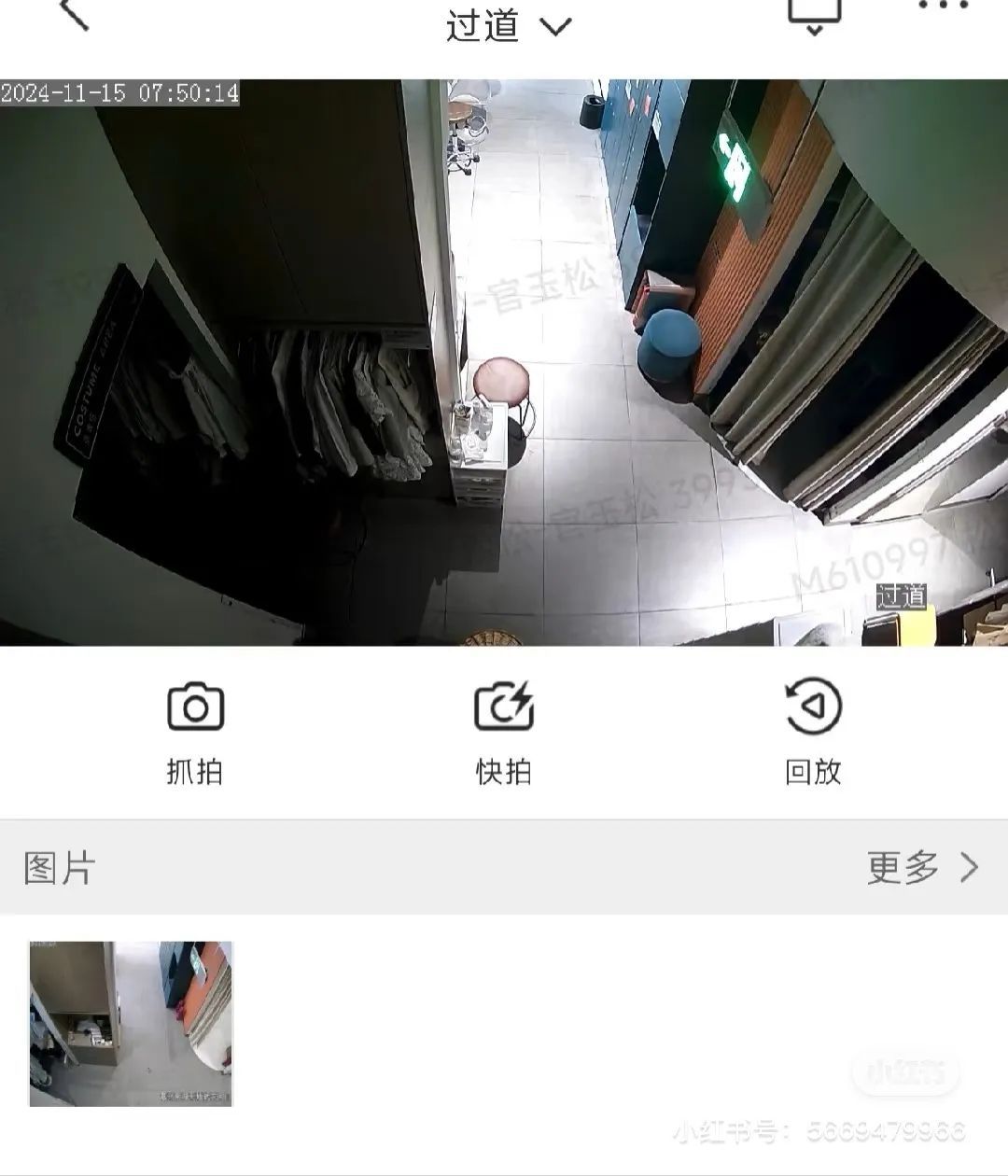 海马体最新回应！