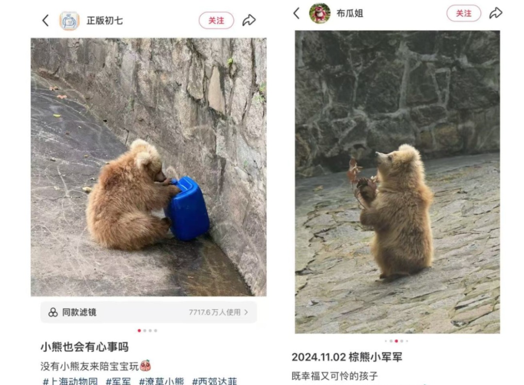上海"潦草男明星"火出圈！点开前:不信；点开后:也太潦草了吧…