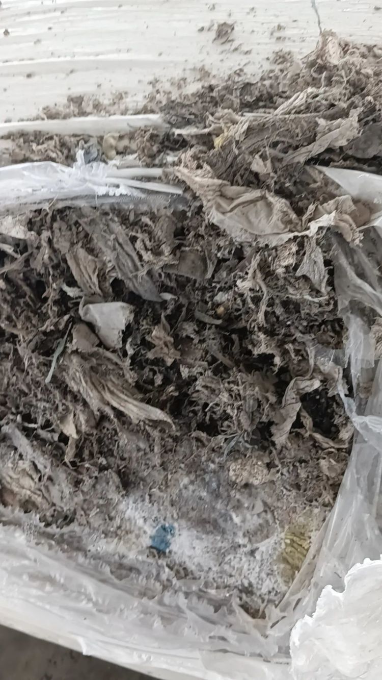 总重逾2600吨！上海海关破获一起走私洋垃圾案