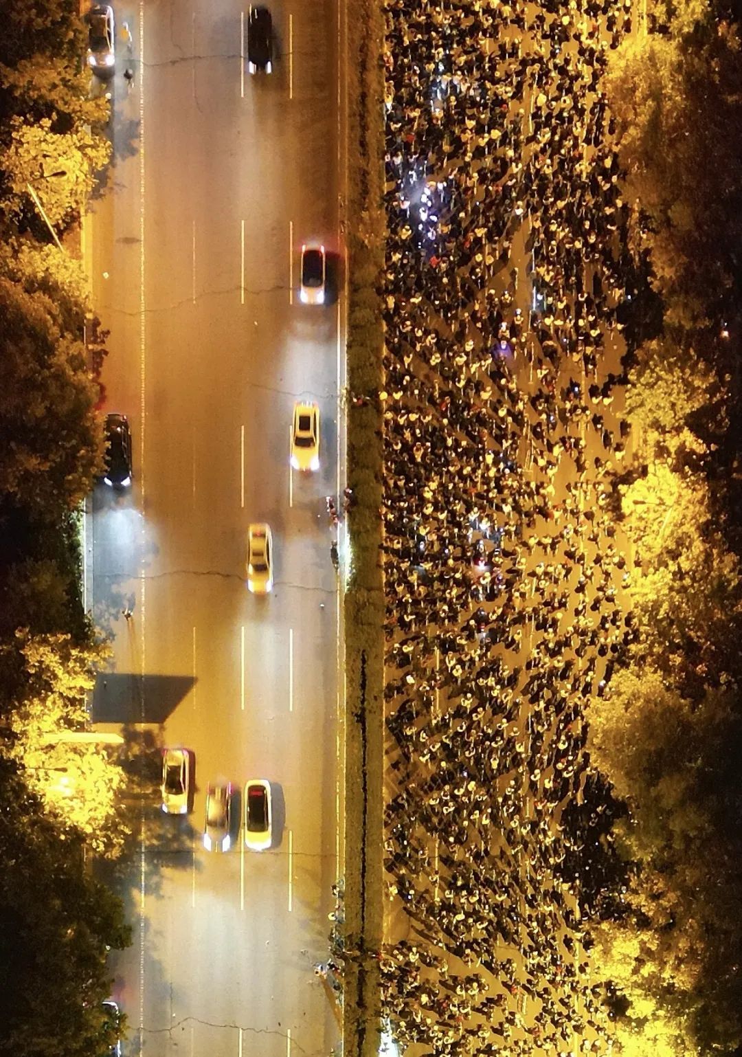 美团单车、哈啰单车 在郑州暂停运营