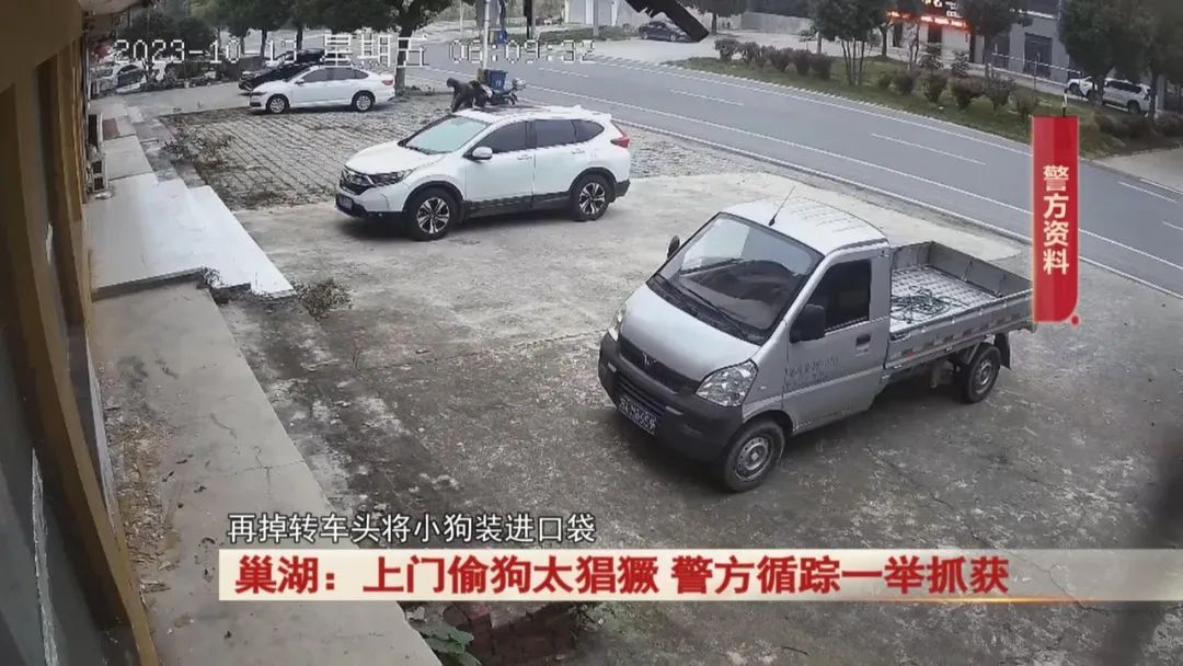 太猖獗！全副武装上门偷狗，监控拍下！警方出击！