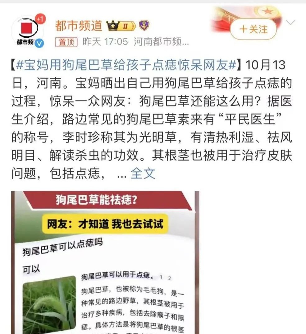 能治近视？最近这野草火了，重庆随处可见！网友：真的假的？