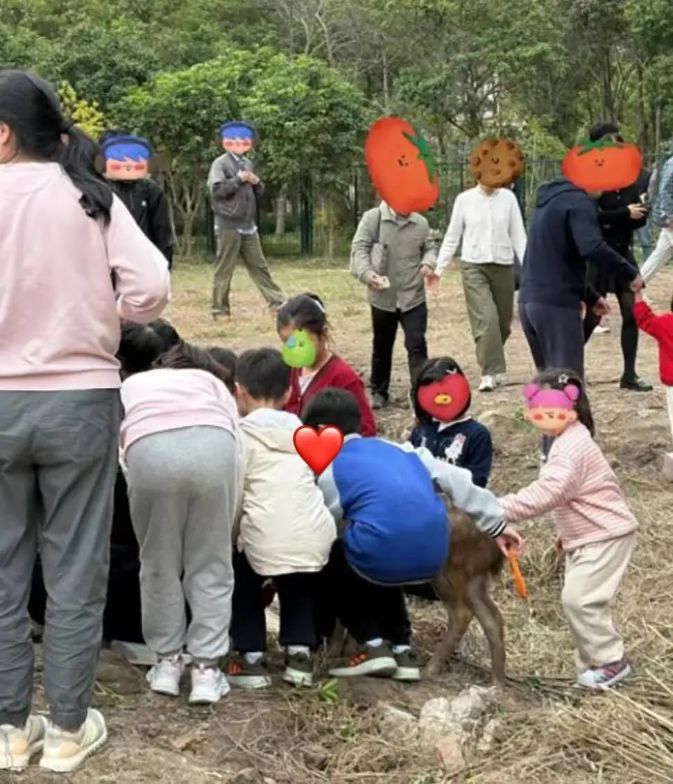 累了，秃了......高校：临时关闭！