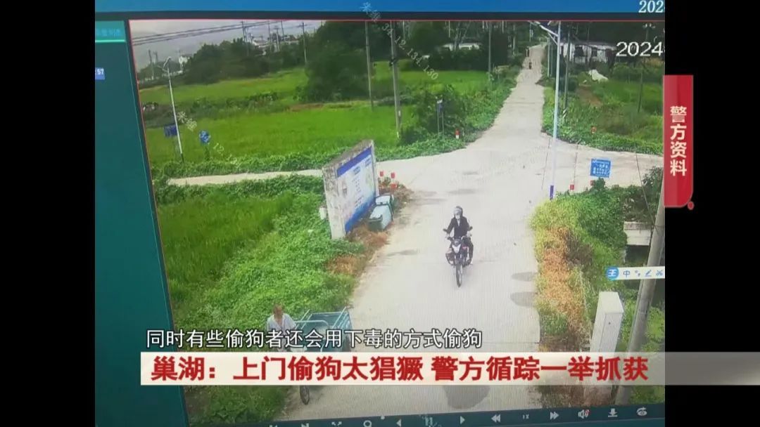 太猖獗！全副武装上门偷狗，监控拍下！警方出击！