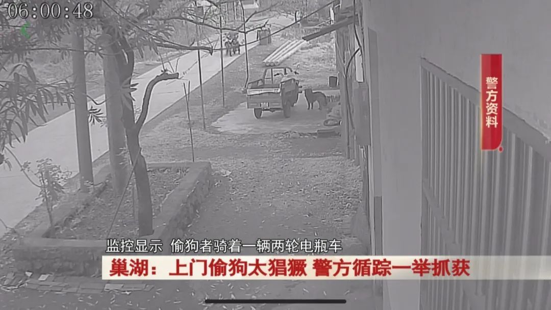 太猖獗！全副武装上门偷狗，监控拍下！警方出击！