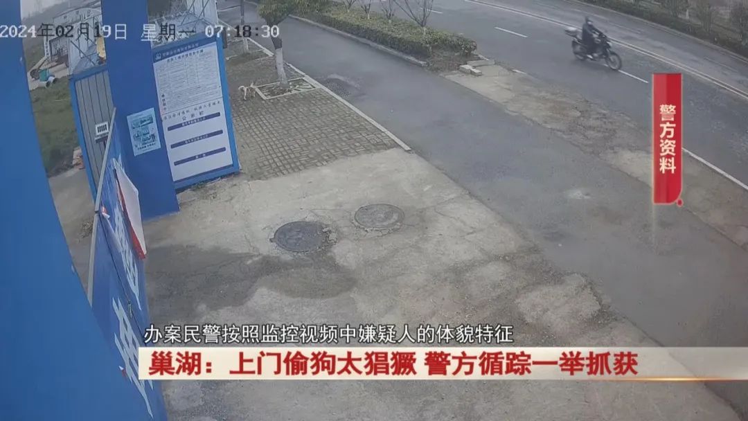 太猖獗！全副武装上门偷狗，监控拍下！警方出击！