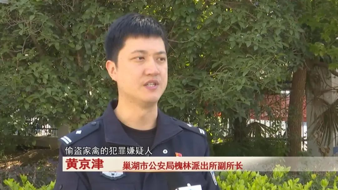 太猖獗！全副武装上门偷狗，监控拍下！警方出击！