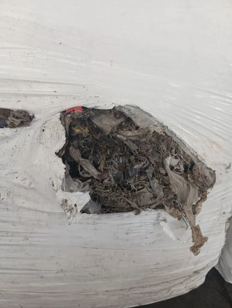 总重逾2600吨！上海海关破获一起走私洋垃圾案