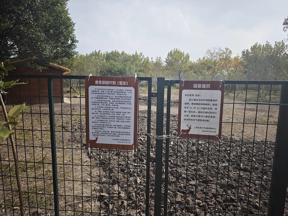 累了，秃了......高校：临时关闭！