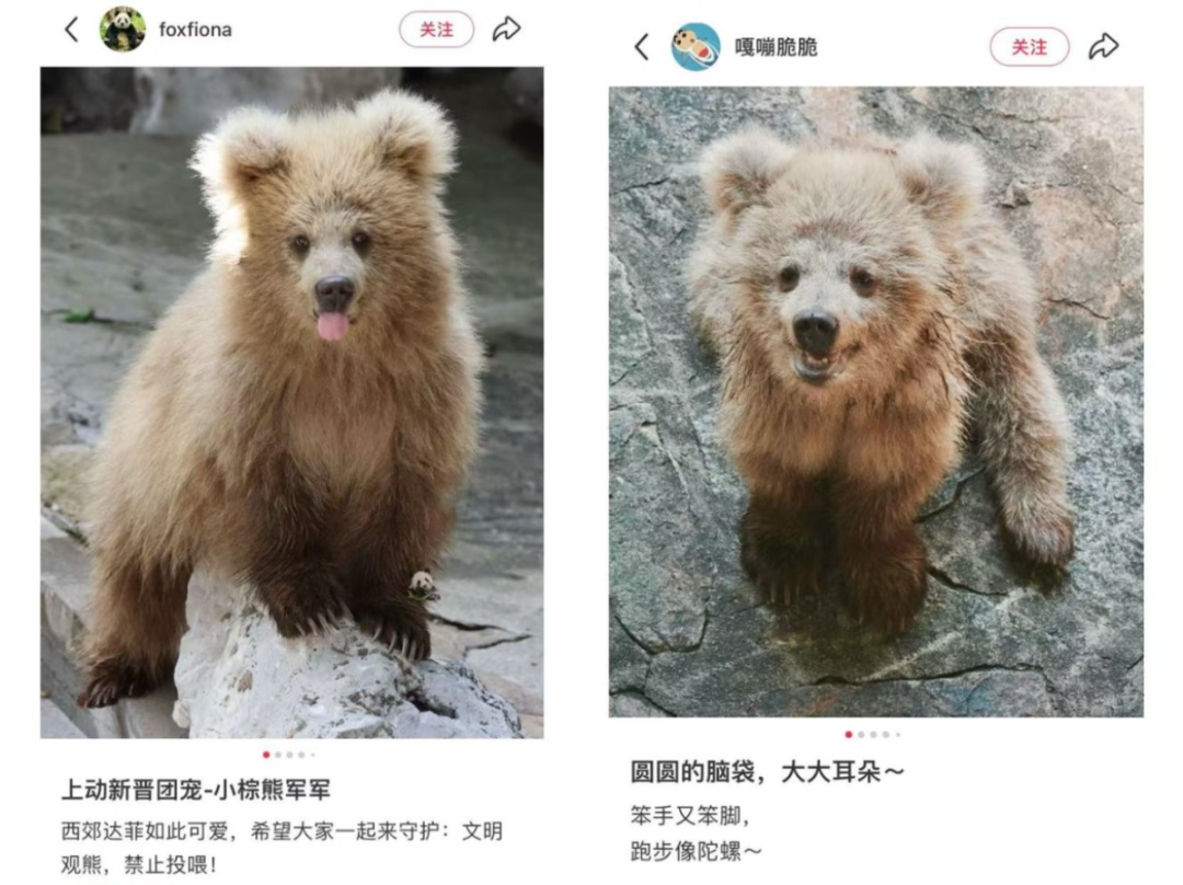 上海"潦草男明星"火出圈！点开前:不信；点开后:也太潦草了吧…