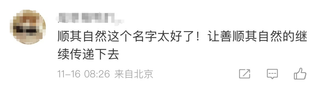 “顺其自然”又出现了！网友：这字、这心，都是顶顶好的