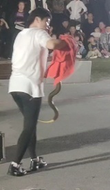 武汉街头“巨蛇”表演吓到儿童,森林警方介入调查 武汉街头“巨蛇”表演吓到儿童,森林警方介入调查