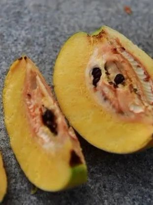 不要吃!武汉有人已捡到,正大量出现 不要吃!武汉有人已捡到,正大量出现