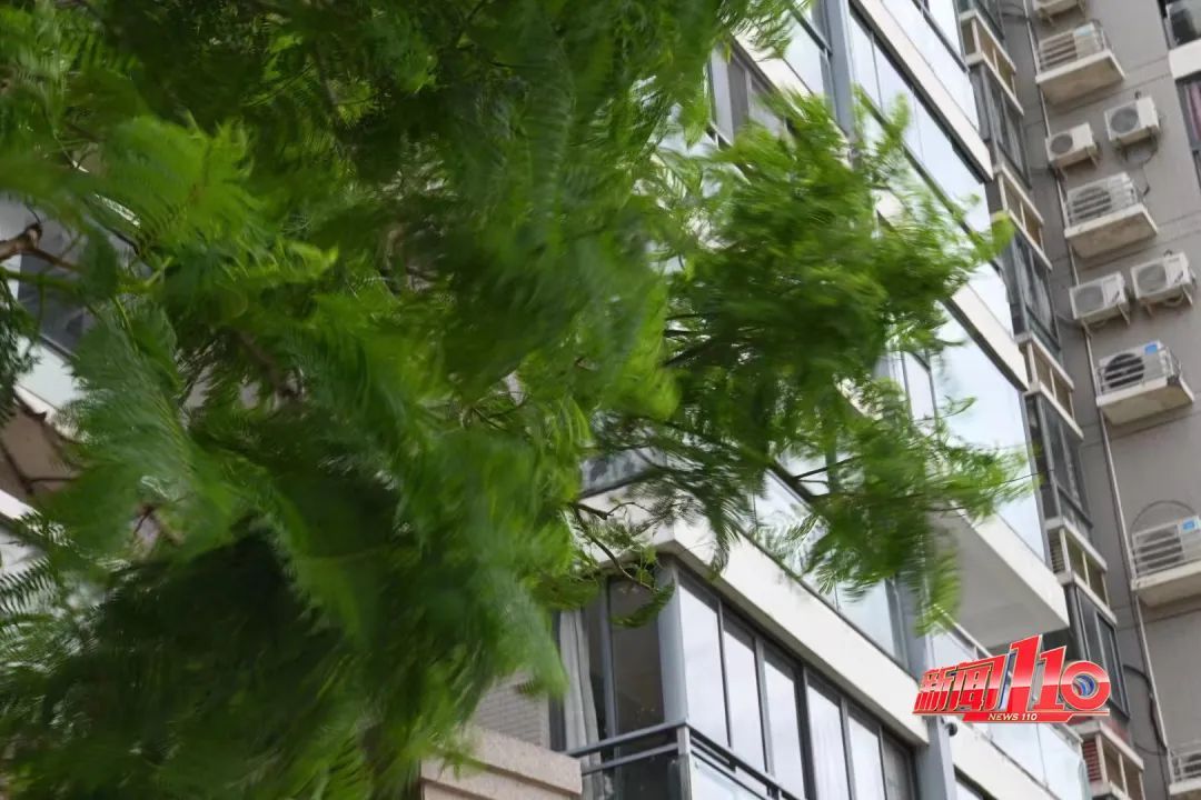 刚刚，台风登陆！都入秋了，福州还有33.7℃？强冷空气要来了！