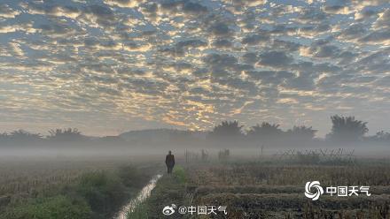 冷空气即将到货！广西玉林市 “鱼鳞云”扮靓天空
