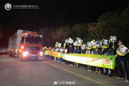 出差15年大熊猫网网福妮回家了 收获满屋美食 出差15年大熊猫网网福妮回家了 收获满屋美食