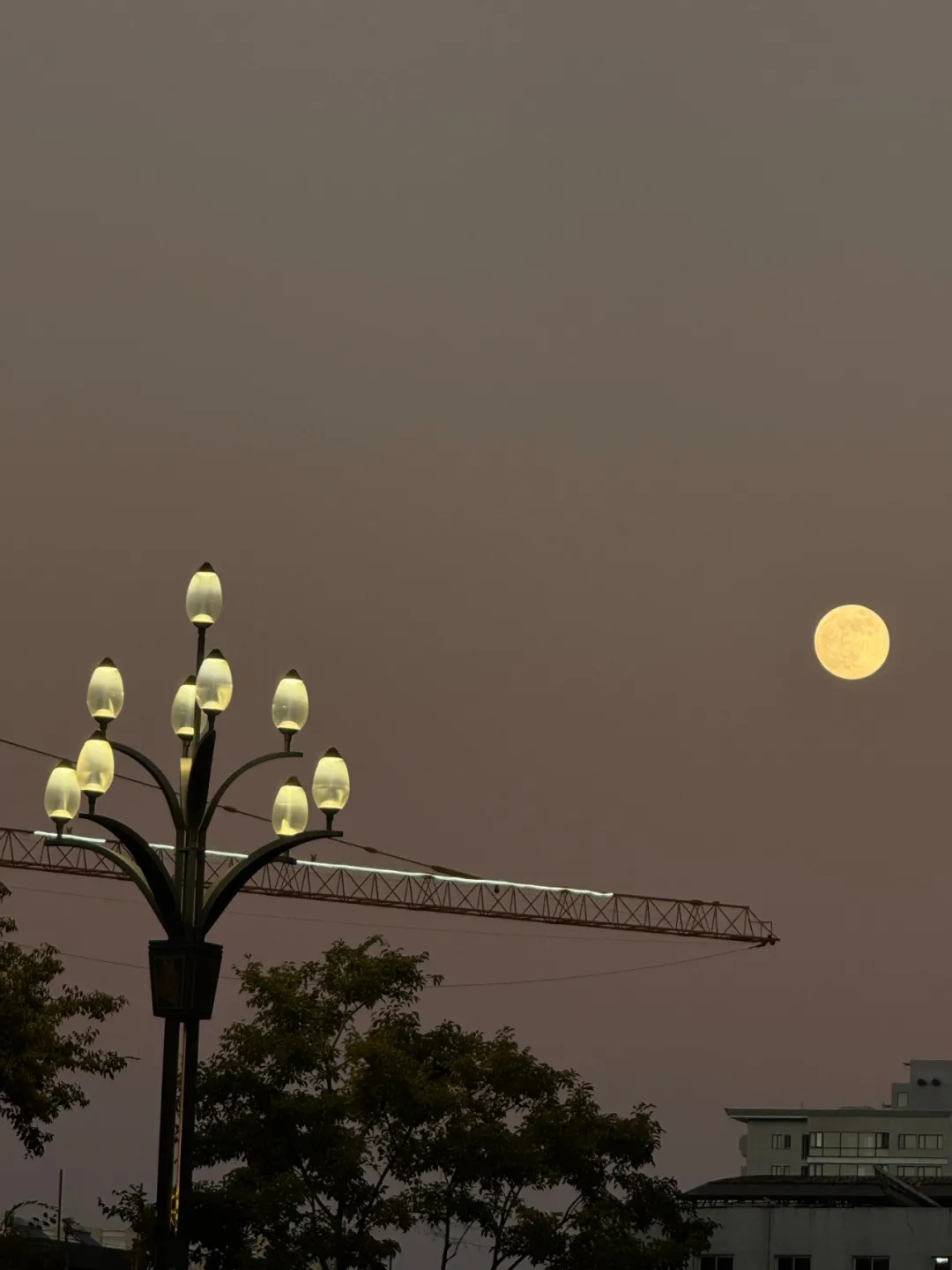 “超级月亮”,高清大图来了! “超级月亮”,高清大图来了!