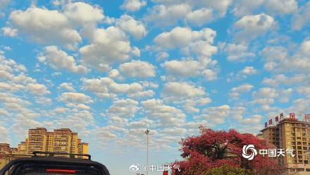 冷空气即将到货！广西玉林市 “鱼鳞云”扮靓天空
