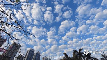 冷空气即将到货！广西玉林市 “鱼鳞云”扮靓天空