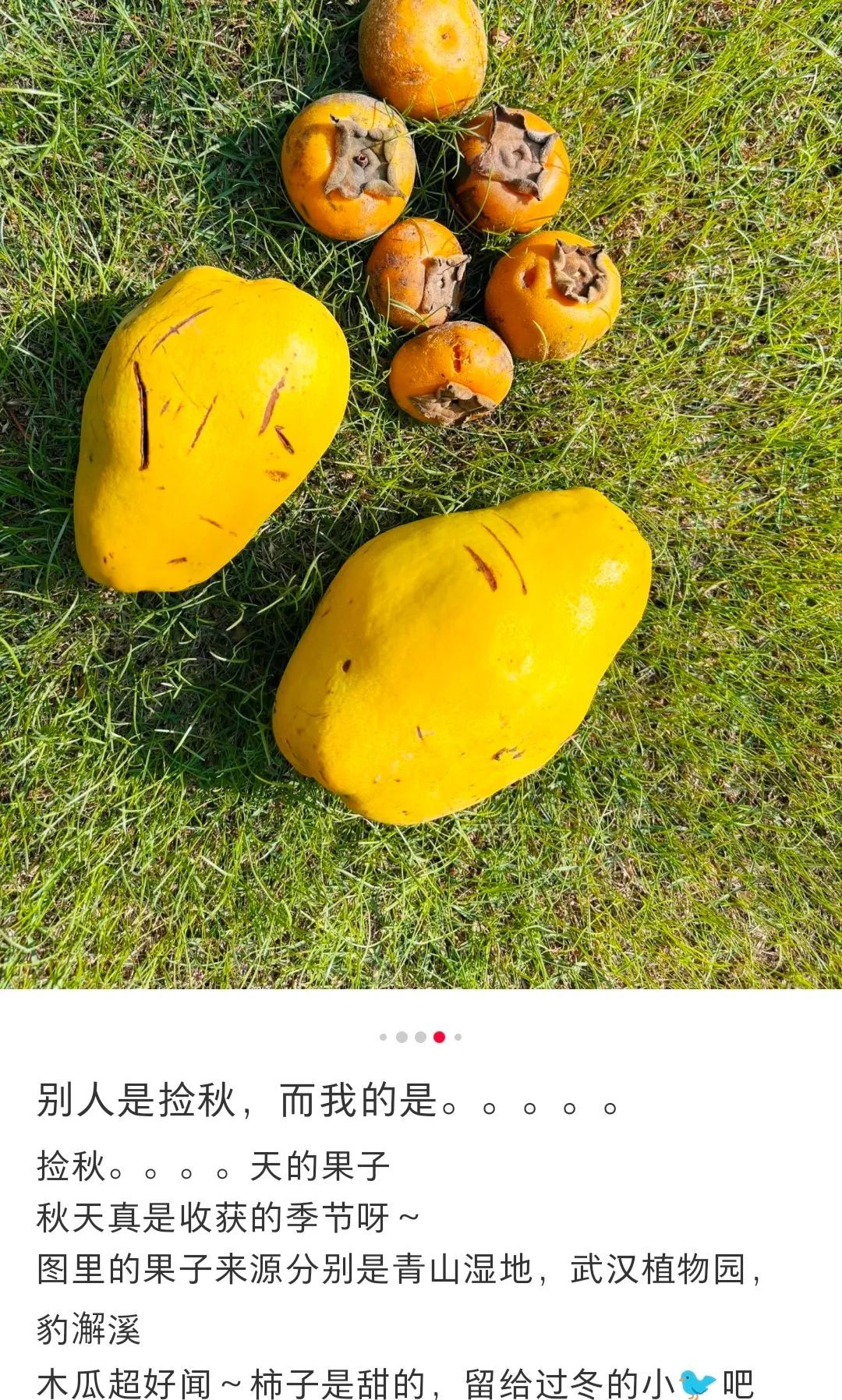 不要吃!武汉有人已捡到,正大量出现 不要吃!武汉有人已捡到,正大量出现