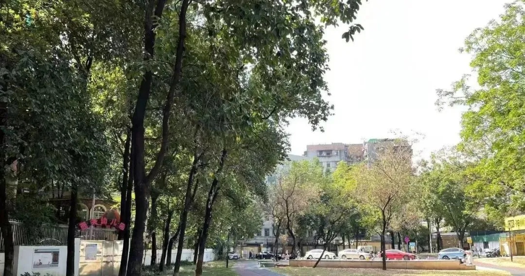 广州超40只宠物狗疑似中毒死亡，相关通报→