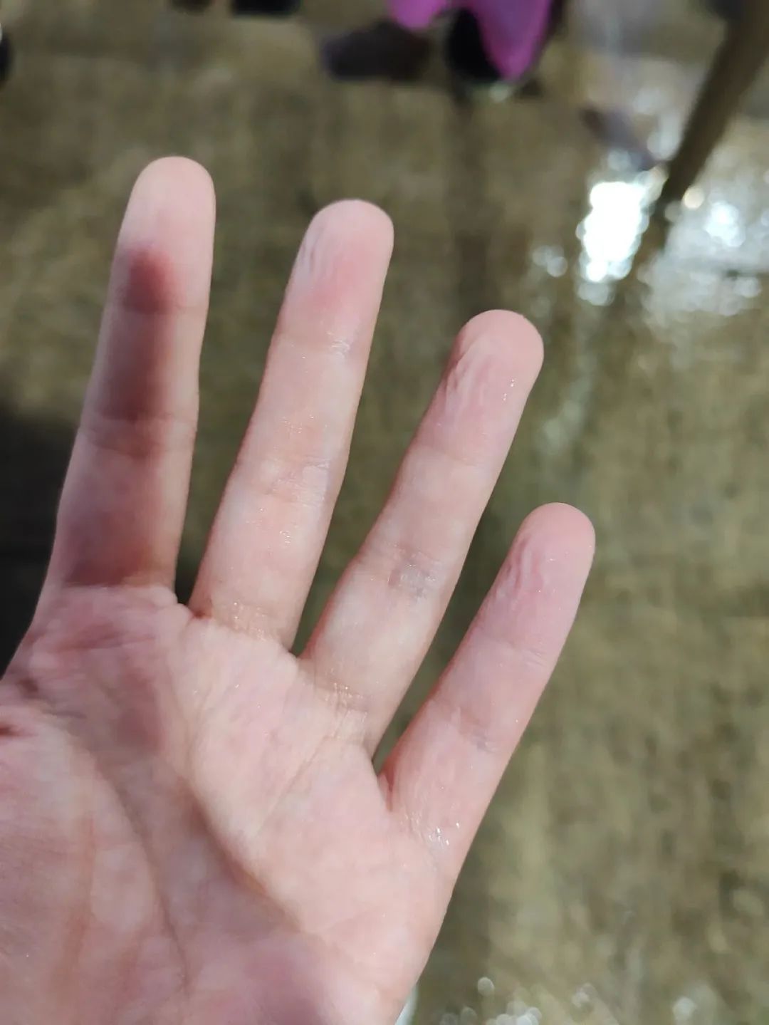 虹口足球场顶棚损坏,看演唱会只能淋雨?回应来了→ 虹口足球场顶棚损坏,看演唱会只能淋雨?回应来了→