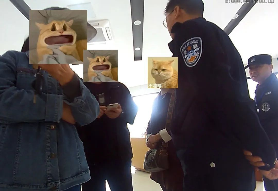 “老太，群里除了你，都是骗子！”