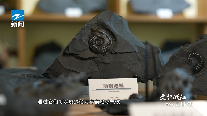 这一枚人类牙齿化石，距今约十万年！