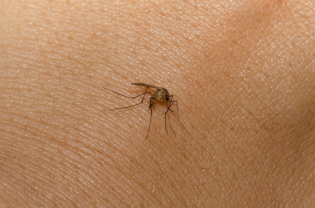 警惕！广东7天新增1241例！