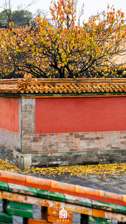 转存！初冬的故宫步步皆画