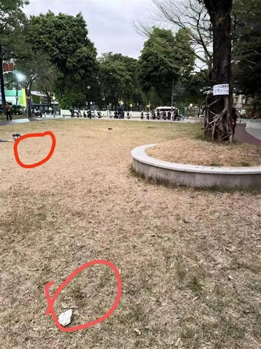 广州超40只宠物狗疑似中毒死亡，相关通报→