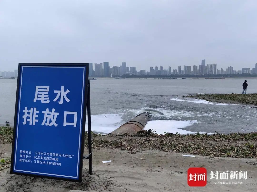 汉口出现化工污水管直排长江？回应来了