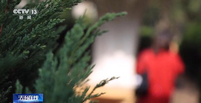 月薪8万元还附带“免费”整形？小心落入“美丽贷”骗局