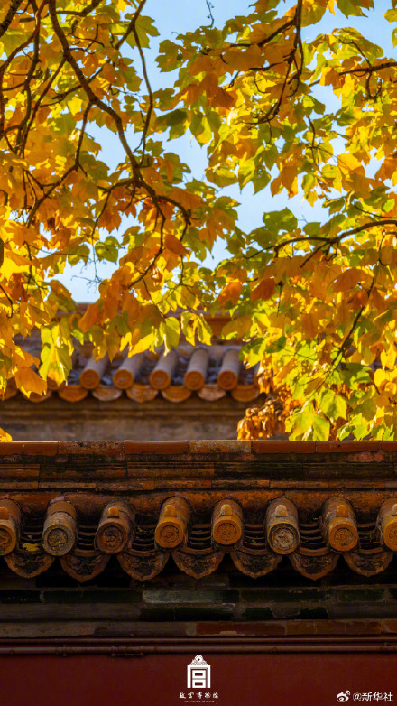 转存！初冬的故宫步步皆画