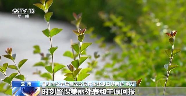 月薪8万元还附带“免费”整形？小心落入“美丽贷”骗局