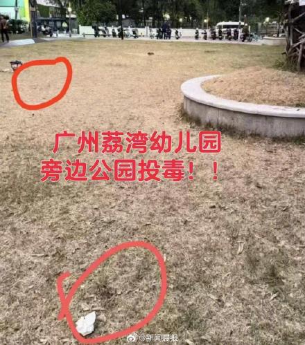 广州多只宠物狗疑似中毒死亡！相关协会通报称正配合警方调查